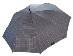 Ombrello uomo automatico Ydry Lancelot Prince of Galles