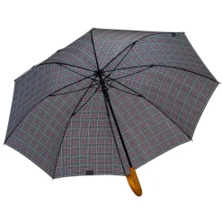 Ombrello uomo automatico Ydry Lancelot Prince of Galles